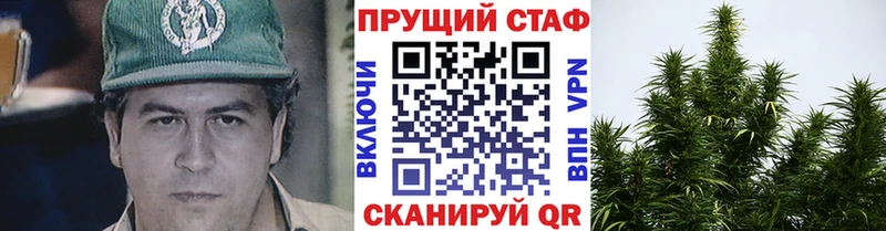 Как найти закладки Новодвинск Амфетамин  A PVP  Псилоцибиновые грибы  Конопля  Меф  Cocaine  Гашиш 