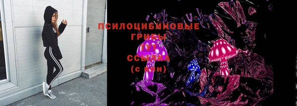 гидропоника Саяногорск