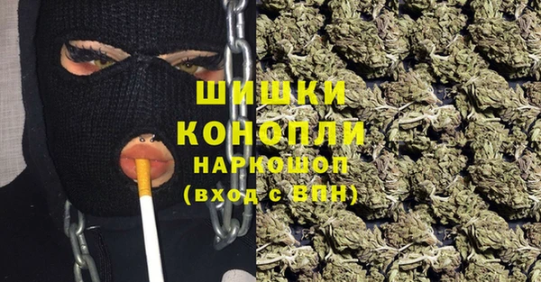 apvp Алзамай