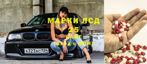 apvp Алзамай