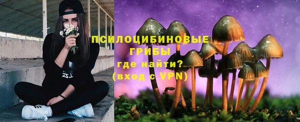 гидропоника Алексин