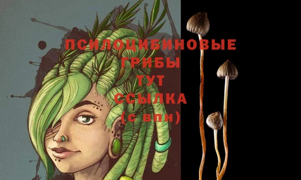 мяу мяу мука Сафоново