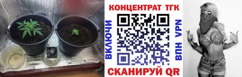 OMG ТОР  Новодвинск  Дистиллят ТГК гашишное масло  купить наркотик 