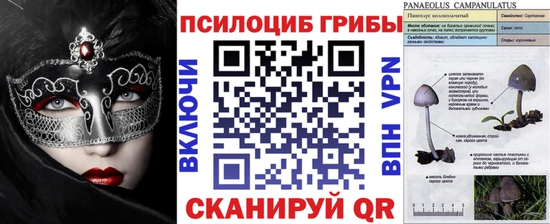 продажа наркотиков  Новодвинск  МЕГА зеркало  Галлюциногенные грибы мухоморы 