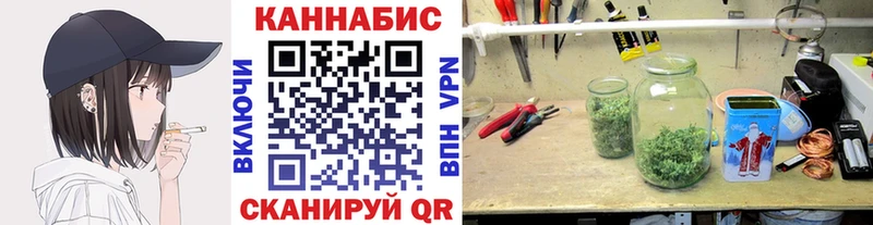 Шишки марихуана LSD WEED  Новодвинск 