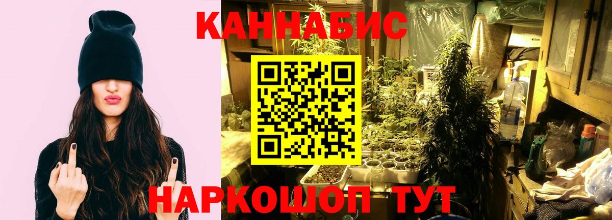 МАРИХУАНА LSD WEED  Каннабис план  Новодвинск  Марихуана индика  Вход с VPN 